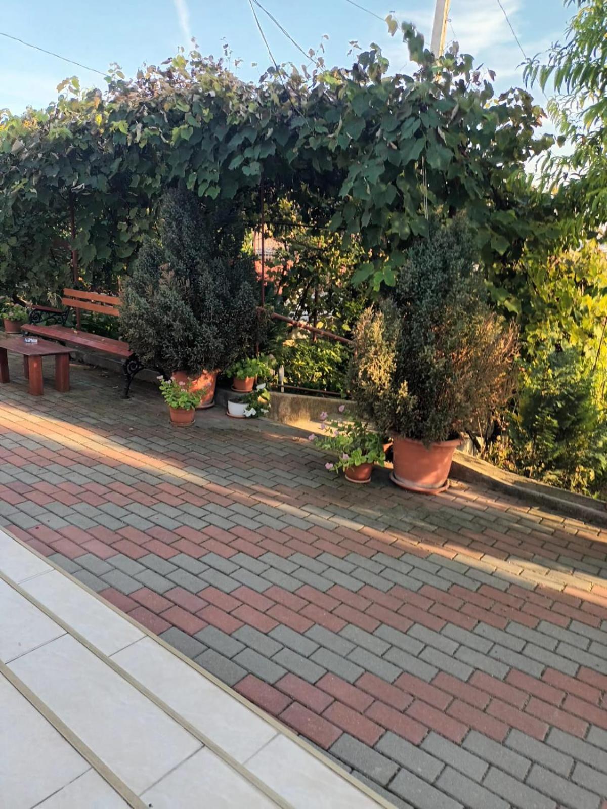 Вилла Casa Matei Турда Экстерьер фото